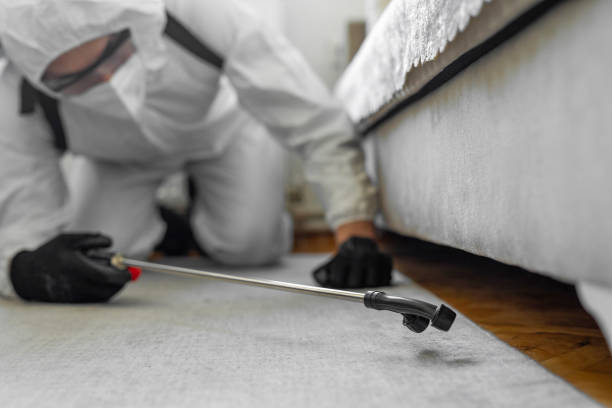 Professional Pest Control technician working in Ridgely, TN