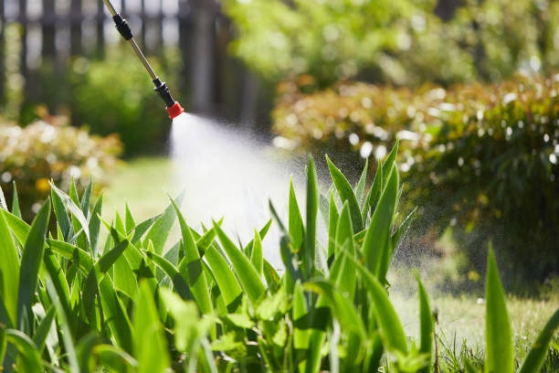 24/7 Emergency Fumigation Services experts in Ridgely, TN